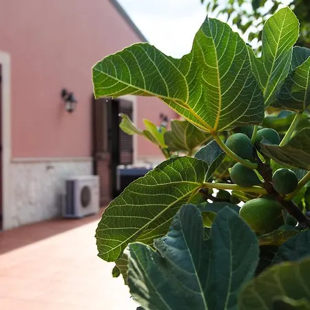 Sicily &
