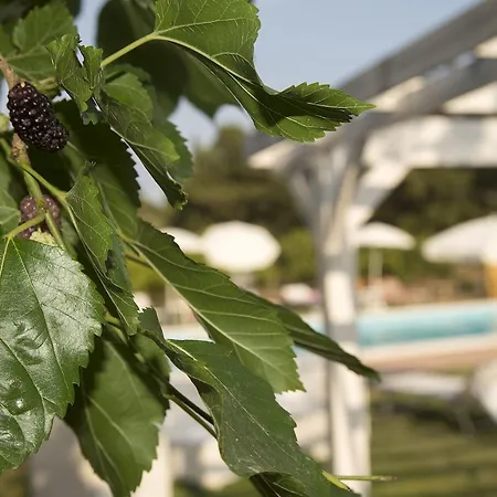 Sicily & Alloggio per agriturismo Aeroporto di Catania Fontana Rossa