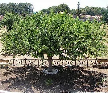 Sicily & Alloggio per agriturismo